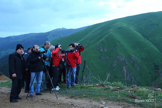 Kuş Gözlemciliği